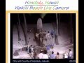 Duke Kahanamoku Statue Waikiki Beach Hawaii Live Camera