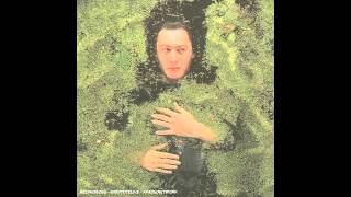 Alain Bashung - Angora