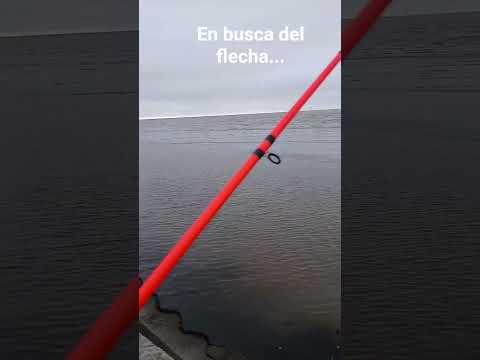 rio de Hudson Berazategui Buenos Aires...