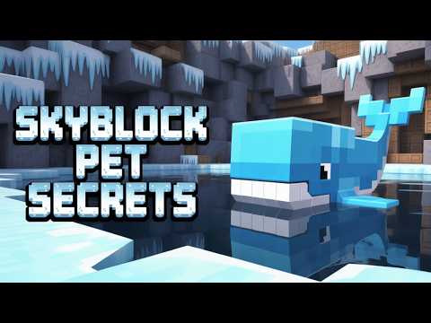 ULTIMATE beginner Pet guide | Hypixel Skyblock