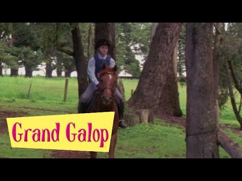 Grand Galop 112 - Concurrence déloyale | HD | Épisode Complet