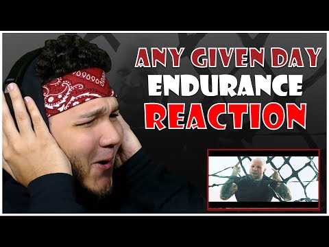 🎤 Hip-Hop Fan Reacts To Any Given Day - Endurance 🎸 | iamsickflowz