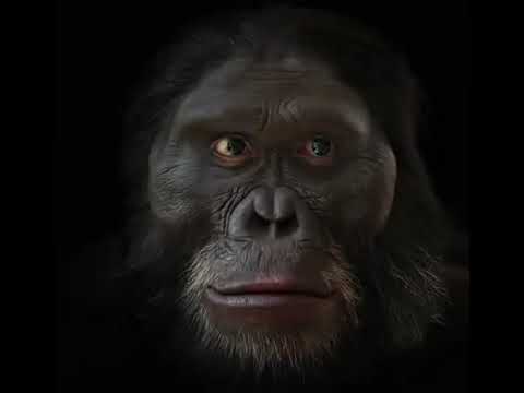 Evolucija coveka za 1 minut