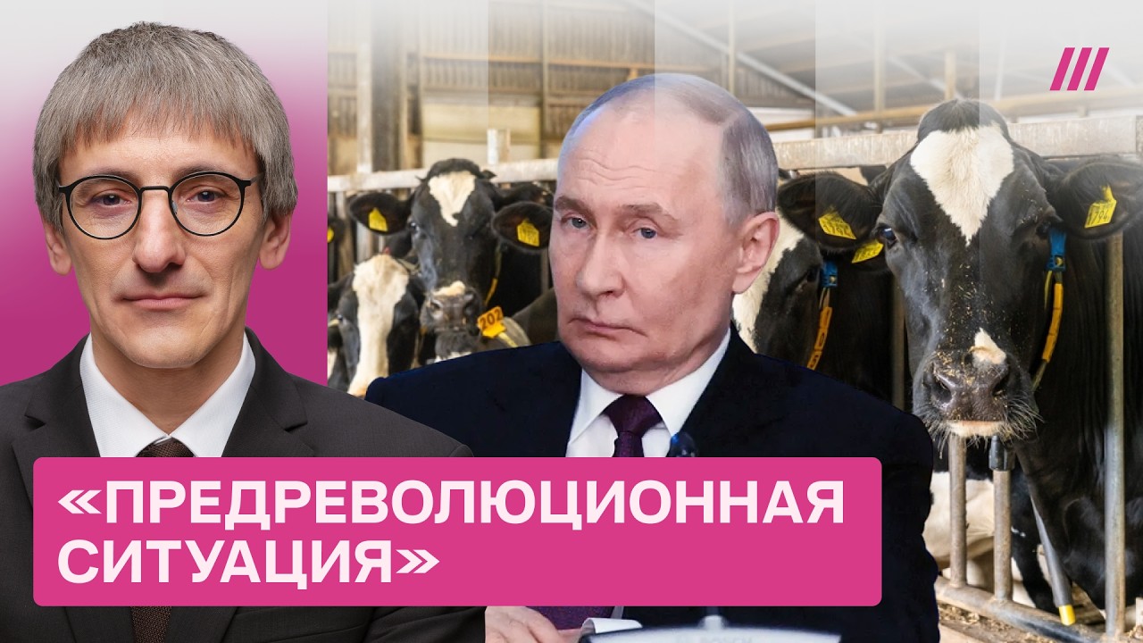 Народный бунт в Сибири. Как власти давят на протестующих фермеров