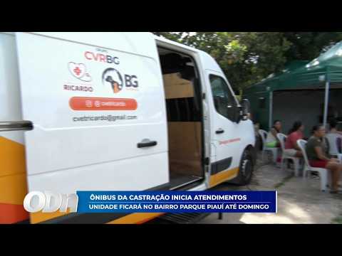 O Dia TV