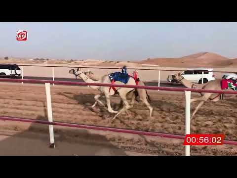  ش 10 (شاهين) لـ سلطان سالم بن سيف الدرعي 3:05:04 ، شارة الصندوق 2026/08/14 فطامين الرقيعات