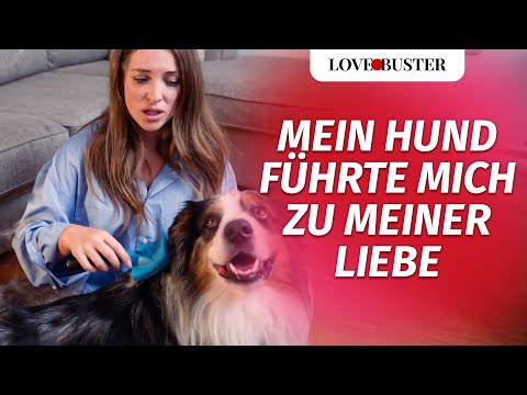 Mein Hund führte mich zu meiner Liebe | @LoveBusterDeutsch