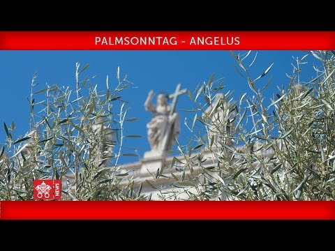 Papst Franziskus - Palmsonntag - Feier des Leidens unseres Herrn - Angelusgebet 2019-04-14