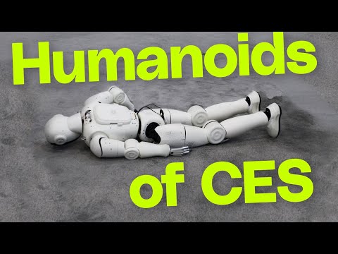 Are humanoid robots the next smart home gadget?