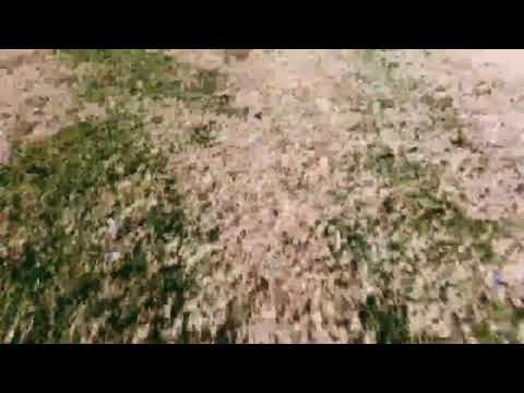 Playing with filters