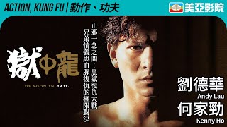 劉德華黑獄逆襲90年代港片暴烈巔峰｜獄中龍 (Dragon in Jail)｜1990