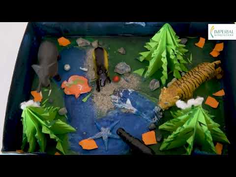 Grade IV l IWS Educational Video l Imperial World School l Nature Components