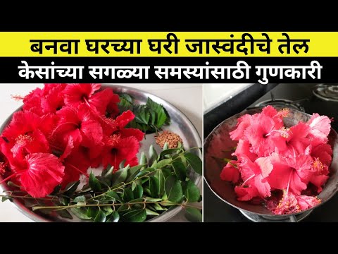बनवा घरच्या घरी जास्वंदीचे तेल - केसांच गळणं कसं थांबवावं?/ घरगुती उपाय नक्की करून बघा Hibiscus Oil