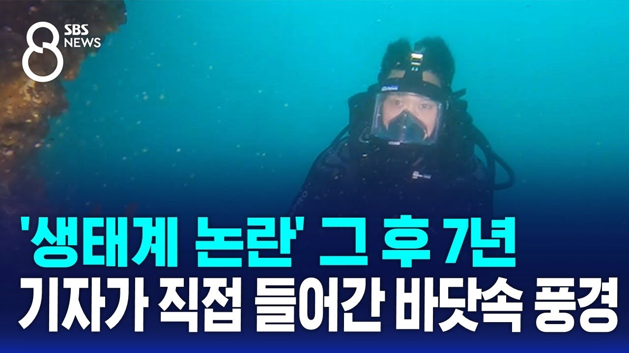 '생태계 논란' 그 후 7년…기자가 직접 들어간 바닷속 풍경