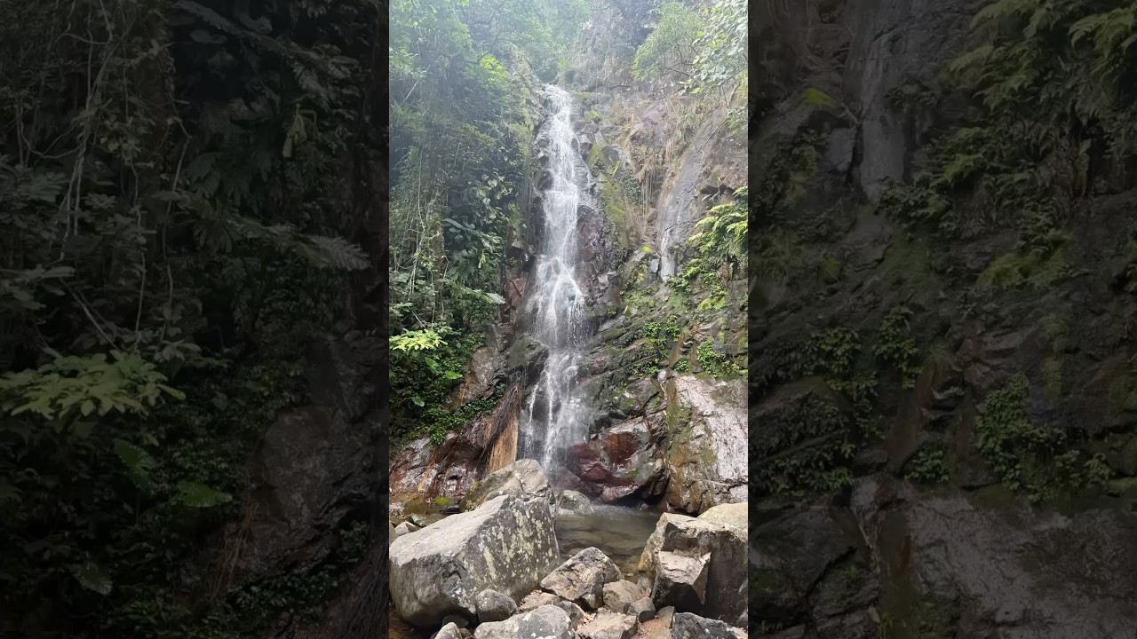 YouTube Short thumbnail