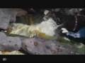 Amethystium-Shadow To Light.flv