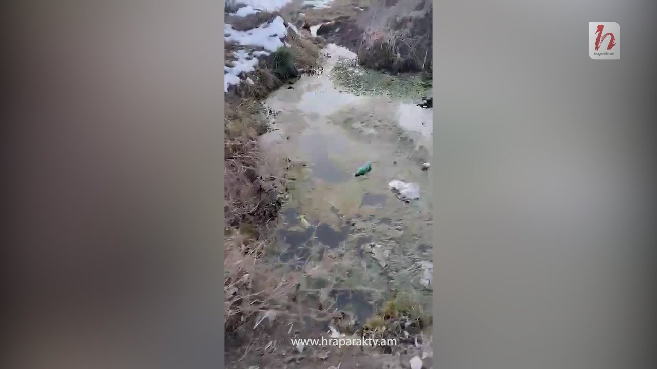 Սպիտակցիների խմելու ջուրը գալիս է ճահճացած լճակից