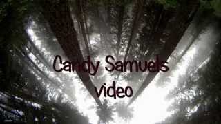 Vivid Black cover Mary Jane's last dance/TomPetty