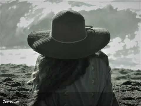 Anne Sofie von Otter: Frauenliebe und -leben by Robert Schumann