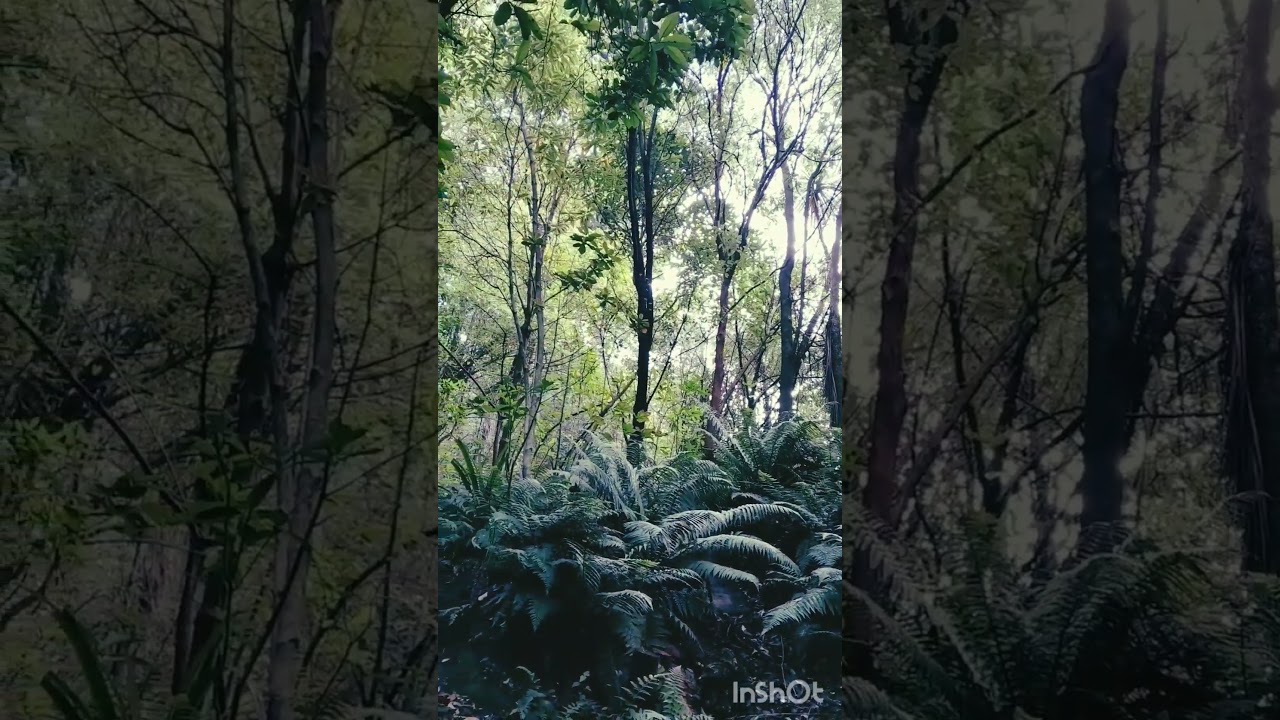 YouTube Short thumbnail