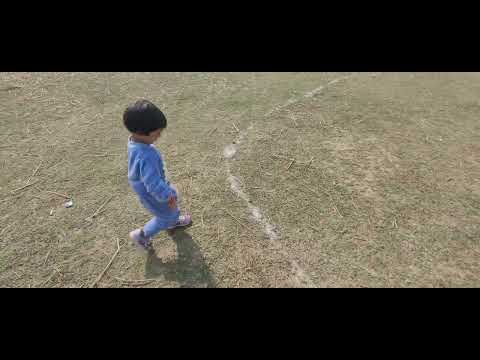 insiya is playing with cow