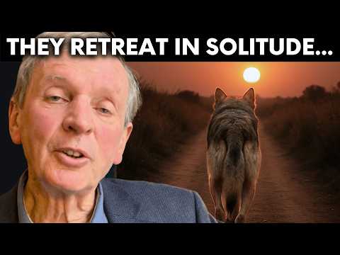 End of Life Experiences in Animals