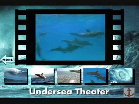 Undersea Adventure Spotted Dolphin Music
