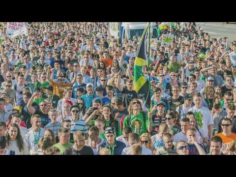 Barney Grass x Kasza - Protest