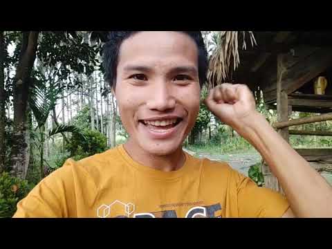 Me From Past 2021 After 5 Years In Future 2026