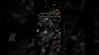 Download lagu কষ্টের টিকটক। koster tiktok। sad lyrics।bangla TikTok। Tiktok video। Sad status। New whatsapp status mp3