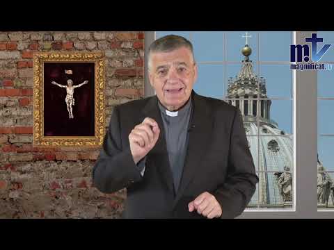 La difícil tarea de evitar cismas del Papa León XIV | Act. Com. (23-05-25) | P. Santiago Martín FM | Franciscanos de María