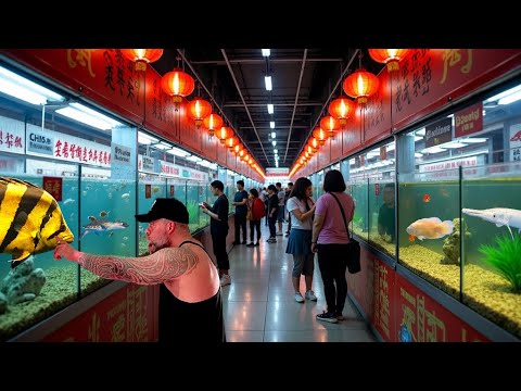 LAST DAY IN CHINA - WE STOPPED AT A SECRET TROPICAL FISH MARKET