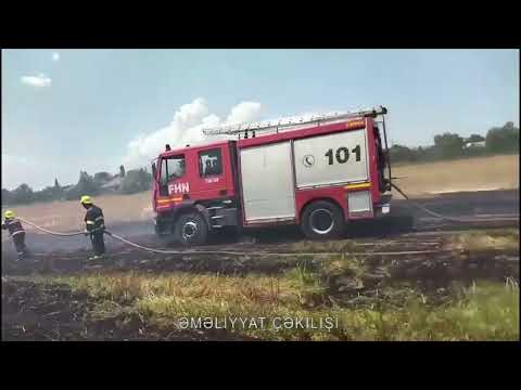 FHN Mətbuat xidmətinin məlumatı (video)