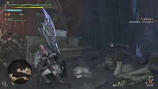 モンスターハンターワイルズ　アプデきたータマギツネ狩る