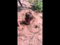 The Quicksand