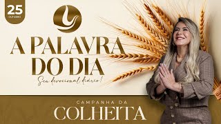 A PALAVRA DO DIA - Campanha da Colheita | 25 OUT 2024 | @VirginiaArruda