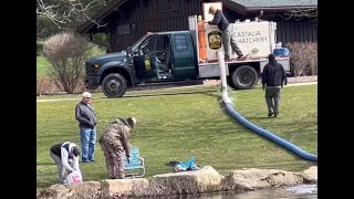 Trout Stocking in Ohio 2023...  #Troutstocking  #RainbowTrout