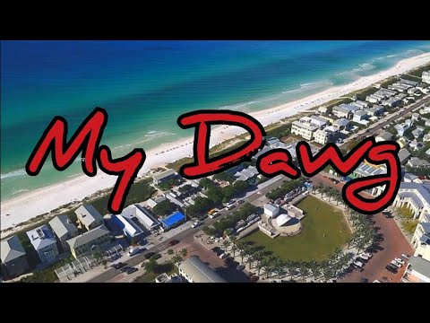 21 Savage Ft Metro Boomin - My Dawg (Lyrics)