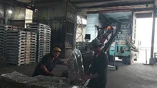 MV CT383- TEMU4519094