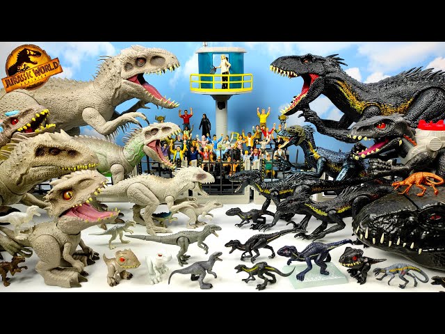 Vídeo relacionado con FedMois Pack de 8 Calzoncillos Bóxer de Algodón para Niños, Dinosaurios y Animales, 3-5 años