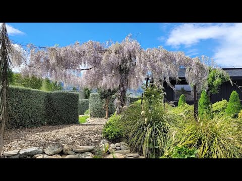 115 Lowburn Valley Road, Lowburn, Central Otago, Otago, 4 Schlafzimmer, 2 Badezimmer, House