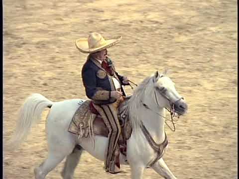 Ay Chabela video