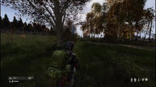 「Dayz」相手を視認できず敗北「PS5」