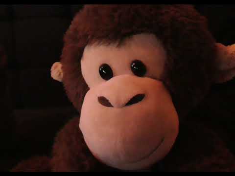 Cadbury's Chocolate Gorilla Advert Aug 31st 2007  (Smart Shed Tribute) Spoof