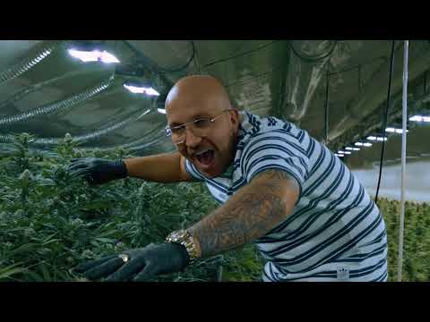 PLUSMACHER - BALATON WEED EXTENDED HOOK