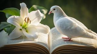 Feel The Presence Of HOly Spirit – Healing Light Removes All Pain And Darkness From Your Life