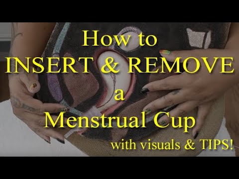 download lagu mp3 mp4 Menstrual Cup Insert Live Video, download lagu Menstrual Cup Insert Live Video gratis, unduh video klip Menstrual Cup Insert Live Video