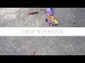 How I manage crop rotation