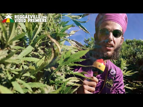 Ras Cup & Good Over Evil - Legalize Marijuana [Official Video 2022]