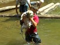 MoJo S Summer Swim Mp4